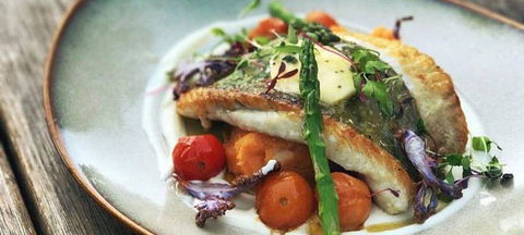 The Hungry Monkey - Accommodation Sunshine Coast 1