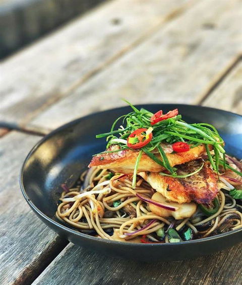 The Hungry Monkey - Accommodation Sunshine Coast 19