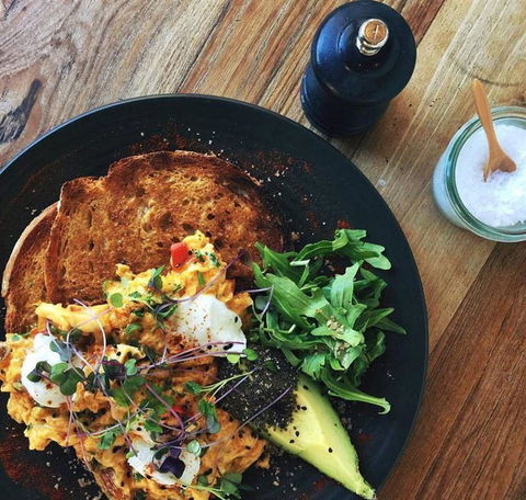The Hungry Monkey - Accommodation Sunshine Coast 20