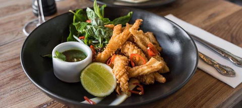 The Hungry Monkey - Accommodation Sunshine Coast 2