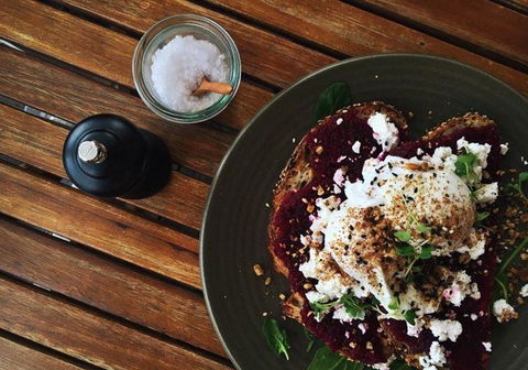 The Hungry Monkey - Accommodation Sunshine Coast 7