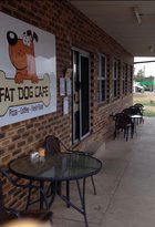 Fat Dog Cafe & Restaurant - Accommodation Sunshine Coast 6