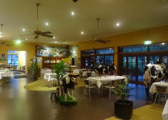 North Johnstone QLD Accommodation Sunshine Coast