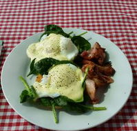 The Shed Cafe - Accommodation Sunshine Coast