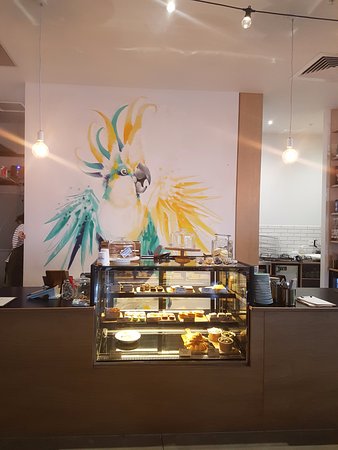 Charlemont ACT Accommodation Sunshine Coast