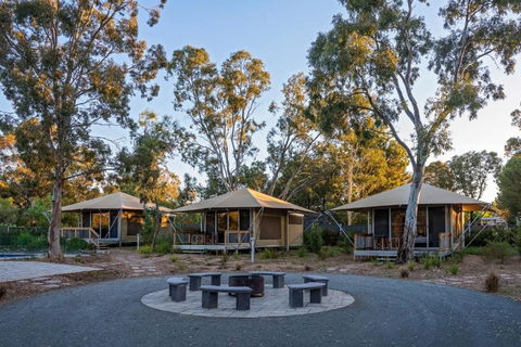 Discovery Parks Barossa Valley - Accommodation Sunshine Coast 0