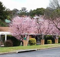 White Lanterns Motel - Accommodation Sunshine Coast