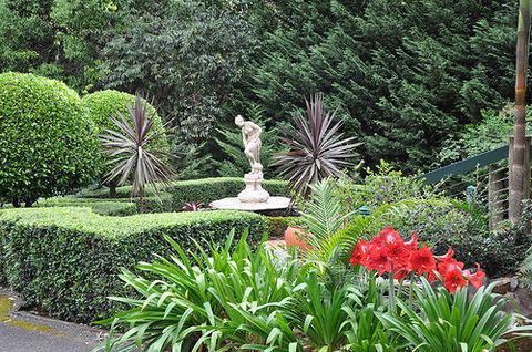 Escarpment Retreat - Accommodation Sunshine Coast 0