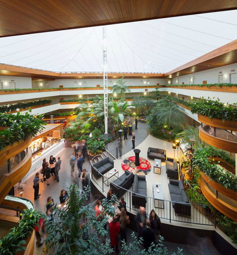 Pavilion on Northbourne - Accommodation Sunshine Coast 11