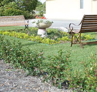 SureStay by BW The Clarence on Melville - Accommodation Sunshine Coast