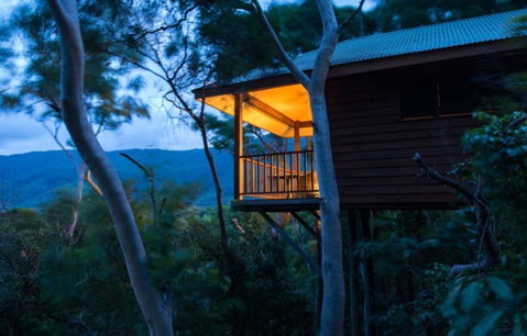 Thala Beach Nature Reserve - Accommodation Sunshine Coast 0