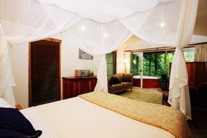 Daintree Eco Lodge & Spa - Accommodation Sunshine Coast 1