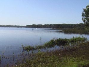 Cabarita Lake Apartments - Accommodation Sunshine Coast 2