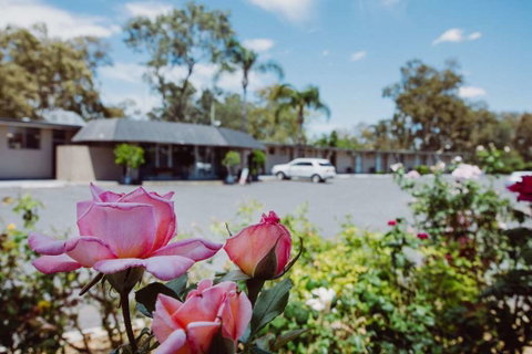 Artesian Spa Motor Inn - Accommodation Sunshine Coast 2