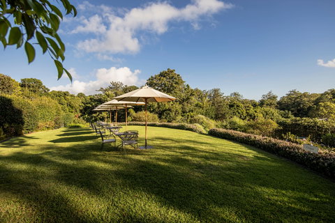 Spicers Clovelly Estate - Accommodation Sunshine Coast 2