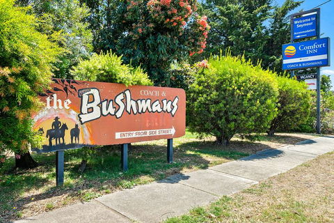 Comfort Inn Coach & Bushmans - Accommodation Sunshine Coast 1