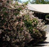 Wine Village Motor Inn - Accommodation Sunshine Coast