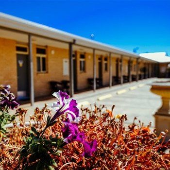 MAS Country Club Motor Inn - Accommodation Sunshine Coast 1
