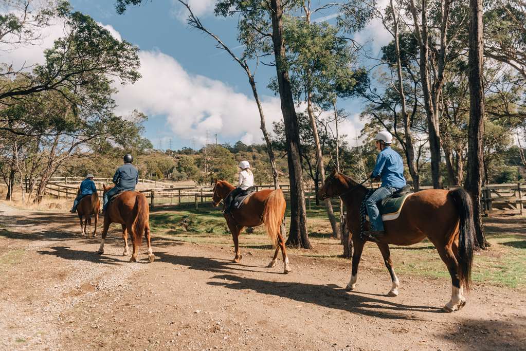 Norwood TAS Accommodation Sunshine Coast