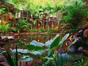 Daintree Eco Lodge & Spa - Accommodation Sunshine Coast 0