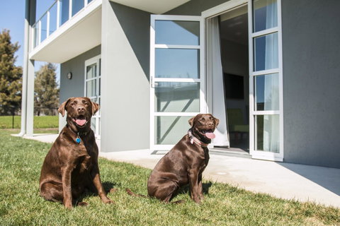 Abode Narrabundah - Accommodation Sunshine Coast 20