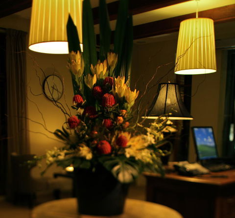 De Russie Boutique Hotel - Accommodation Sunshine Coast 26
