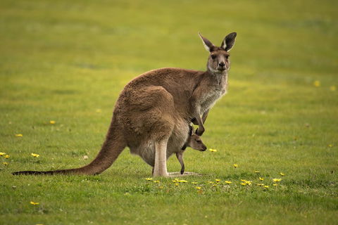 Lure Bed And Breakfast - Accommodation Sunshine Coast 20
