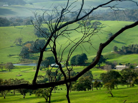 Lure Bed And Breakfast - Accommodation Sunshine Coast 21