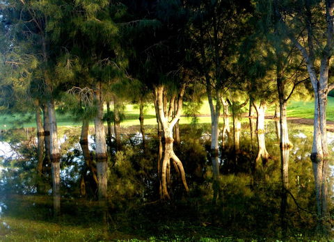 Lure Bed And Breakfast - Accommodation Sunshine Coast 18