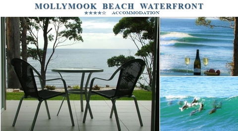 Mollymook Beach Waterfront - Accommodation Sunshine Coast 1