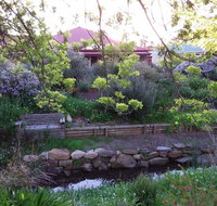 Frog Song at Willunga - Accommodation Sunshine Coast
