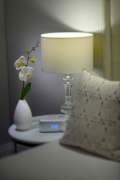 Mayfair Hotel - Accommodation Sunshine Coast 13
