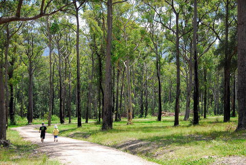 SkyView Villa - Accommodation Sunshine Coast 28