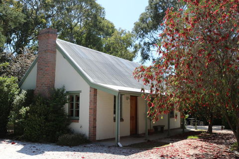 Tanunda Cottages - Accommodation Sunshine Coast 1