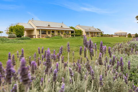 Barossa Vineyard Cottages - Accommodation Sunshine Coast 10