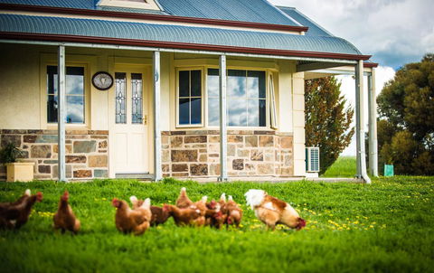 Barossa Vineyard Cottages - Accommodation Sunshine Coast 40