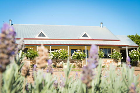 Barossa Vineyard Cottages - Accommodation Sunshine Coast 3