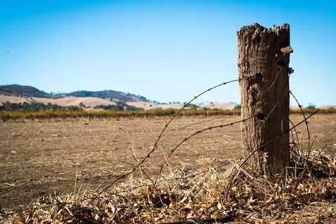Barossa Vineyard Cottages - Accommodation Sunshine Coast 5