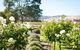 Barossa Vineyard Cottages - thumb 1
