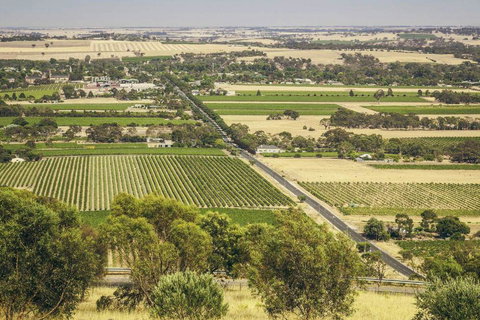 Angaston House - Accommodation Sunshine Coast 18