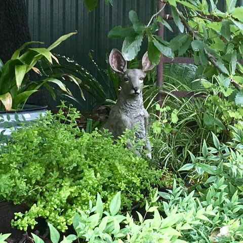 Hahndorf Oak Tree Cottages - Accommodation Sunshine Coast 12