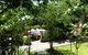 Hahndorf House B&B - thumb 44