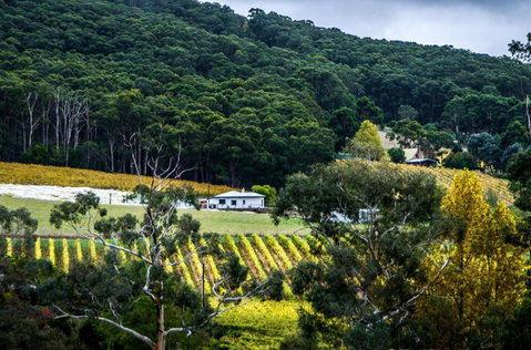 Esto House - Accommodation Sunshine Coast 4