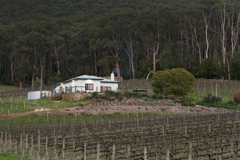 Esto House - Accommodation Sunshine Coast 3