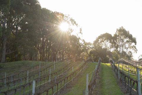 Esto House - Accommodation Sunshine Coast 2