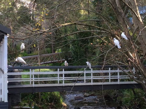 Aldgate Valley Bed And Breakfast - Accommodation Sunshine Coast 41