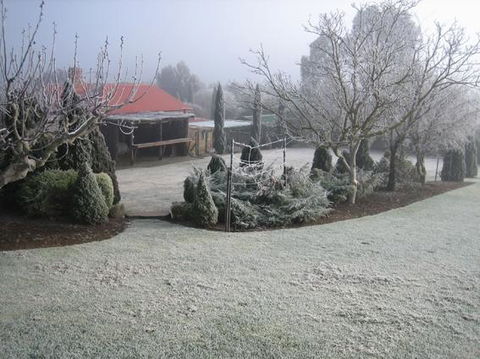 Vineyard Cottage BnB - Accommodation Sunshine Coast 15