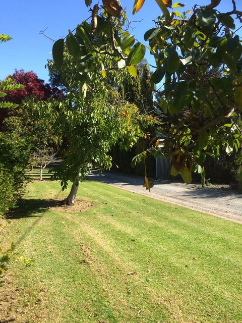 Vineyard Cottage BnB - Accommodation Sunshine Coast 17