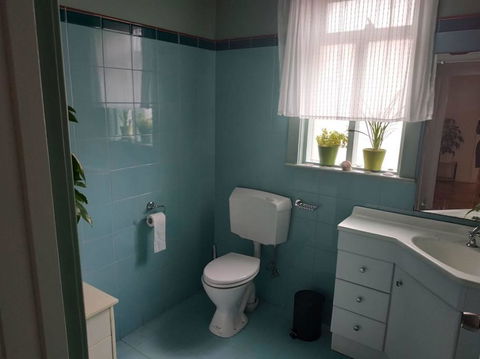 Diamond On Olive - Accommodation Sunshine Coast 1