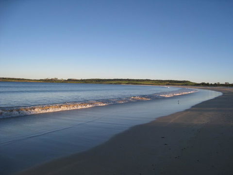 Pelicans Rest Shellharbour - Accommodation Sunshine Coast 17